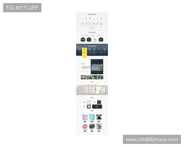 尊龙集团网页版登录官方入口稳定性分析与下载安装建议